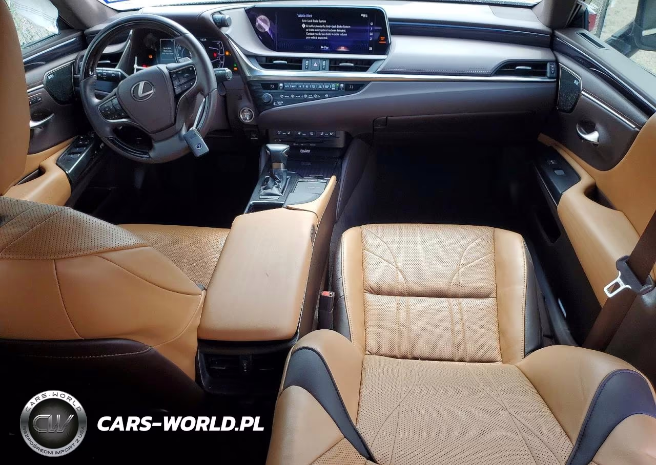 2020 Lexus Es 350 Luxury VIN:58AEZ1B17LU070202 - 8