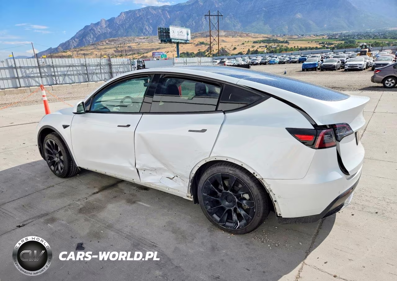 2021 Tesla Model Y VIN:5YJYGDEE2MF302102 - 2