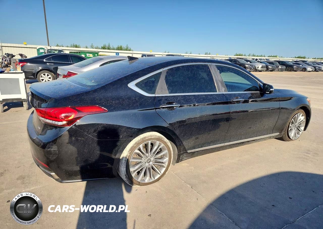 2017 Genesis G80 3.8 VIN:KMHGN4JE3HU209895 - 3
