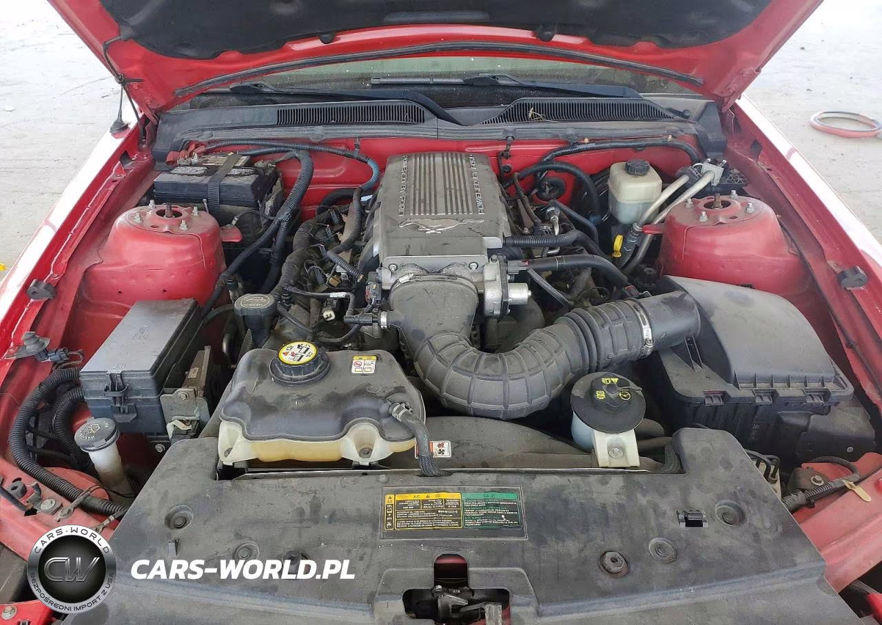 2008 Ford Mustang Gt VIN:1ZVHT82H385156962 - 11