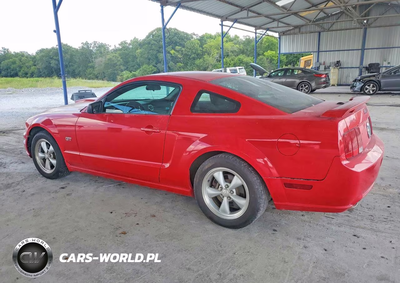 2008 Ford Mustang Gt VIN:1ZVHT82H385156962 - 2