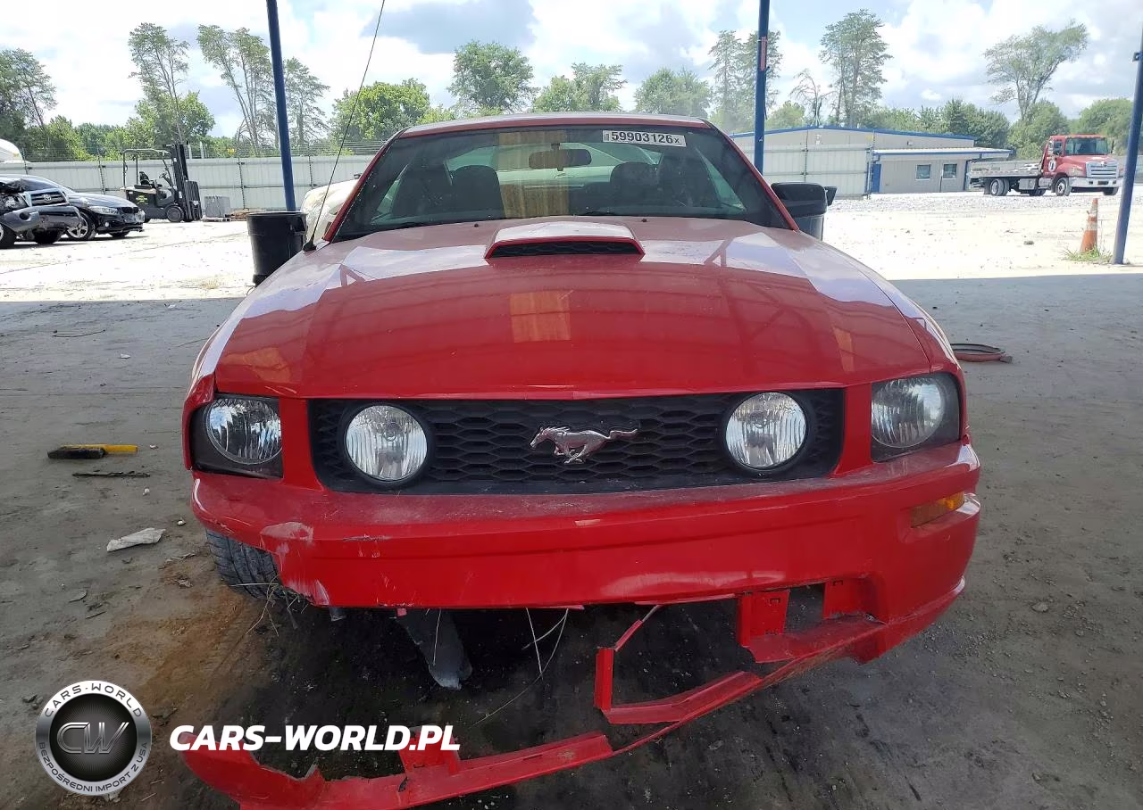 2008 Ford Mustang Gt VIN:1ZVHT82H385156962 - 5