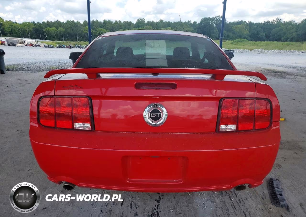 2008 Ford Mustang Gt VIN:1ZVHT82H385156962 - 6