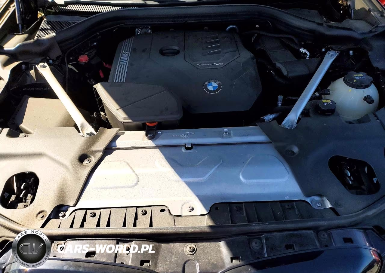 2022 BMW X3 xDrive30I VIN:5UX53DP05N9K76329 - 12