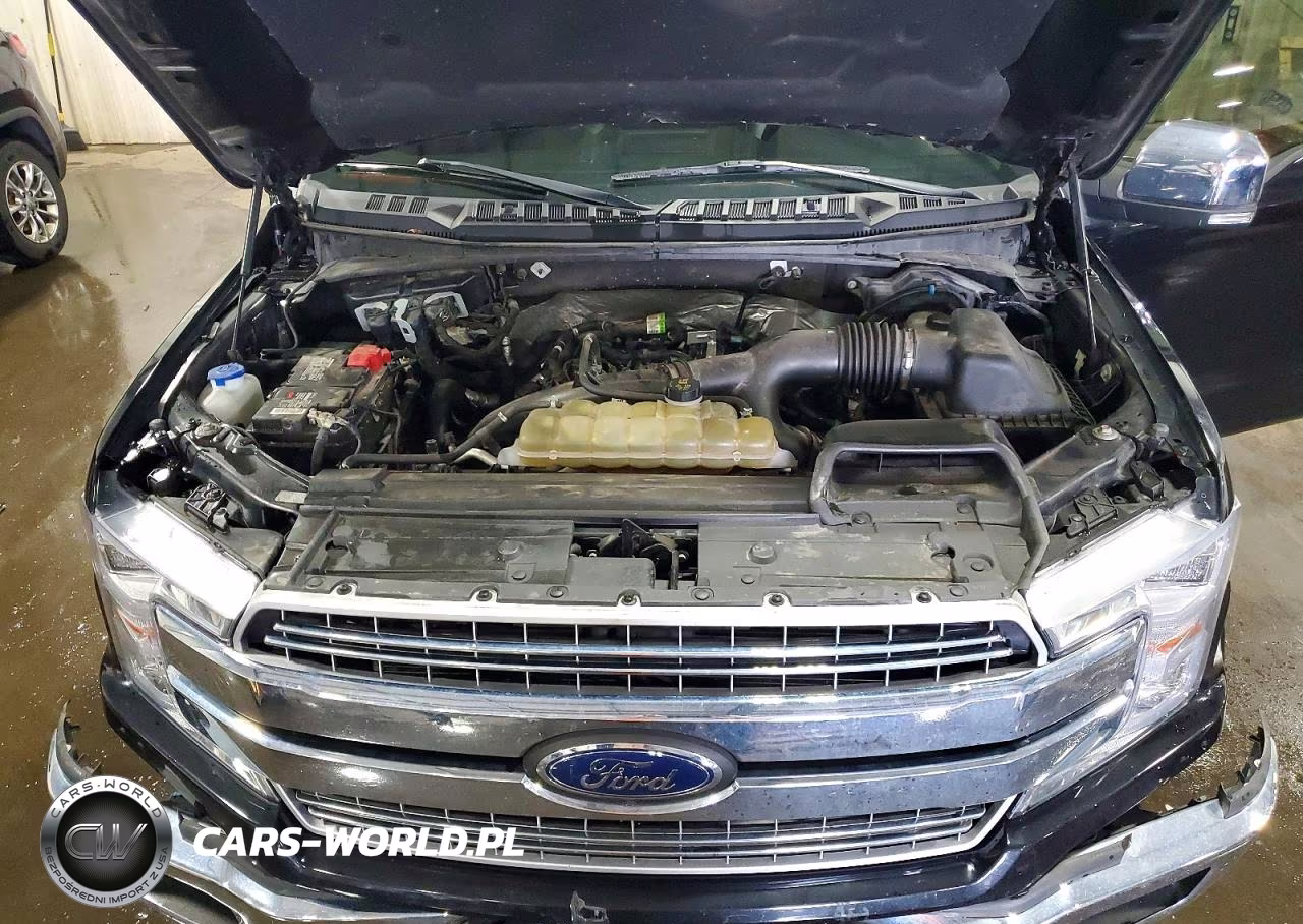 2020 Ford F150 Supercrew VIN:1FTEW1EP7LKF39384 - 11