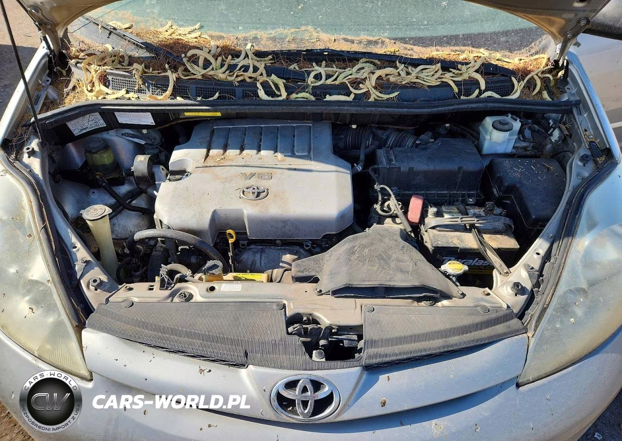 2007 Toyota Sienna Ce 7-Passenger VIN:5TDZK23C57S040097 - 12