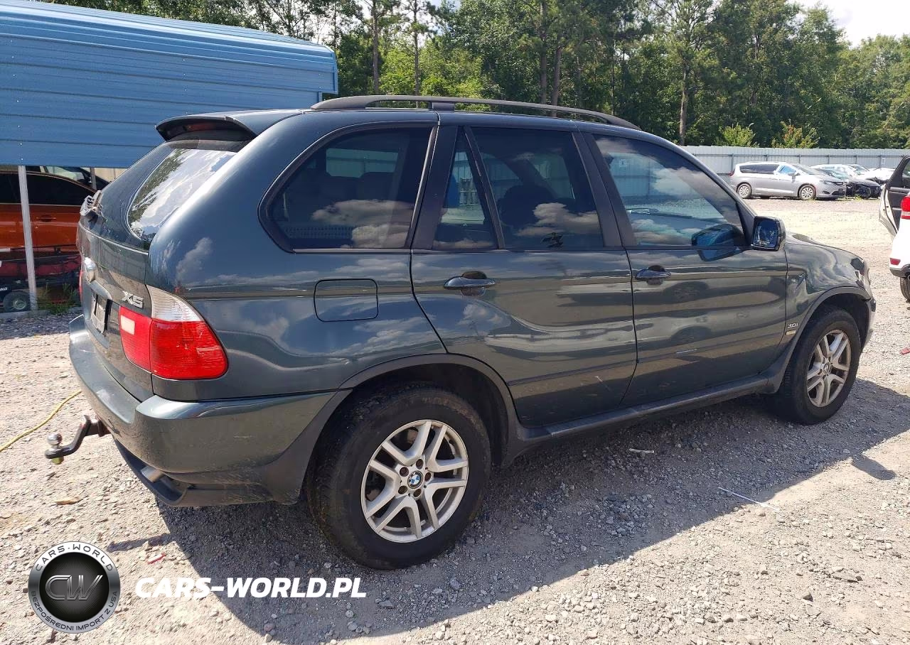 2005 BMW X5 3.0I VIN:5UXFA13535LY11834 - 3