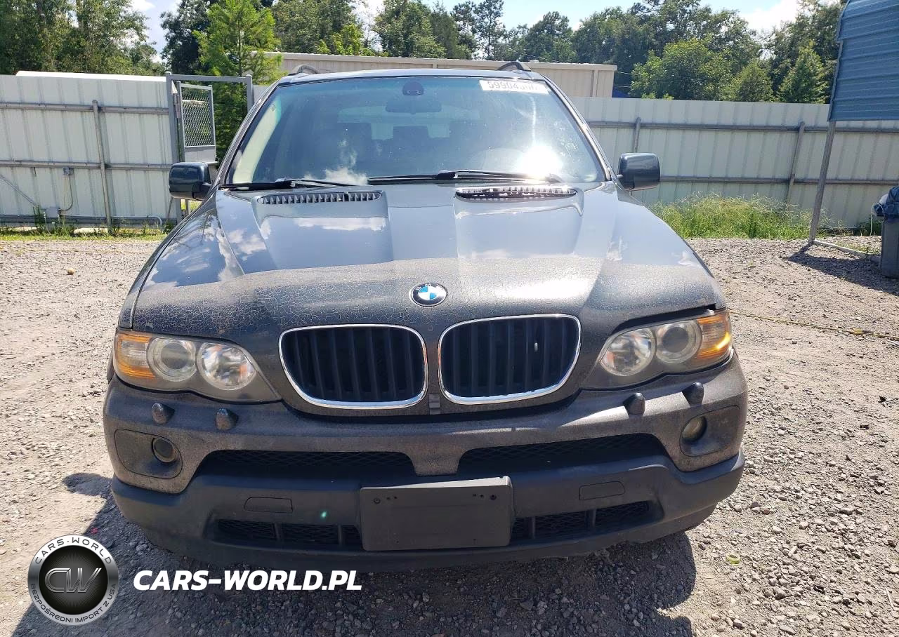 2005 BMW X5 3.0I VIN:5UXFA13535LY11834 - 5