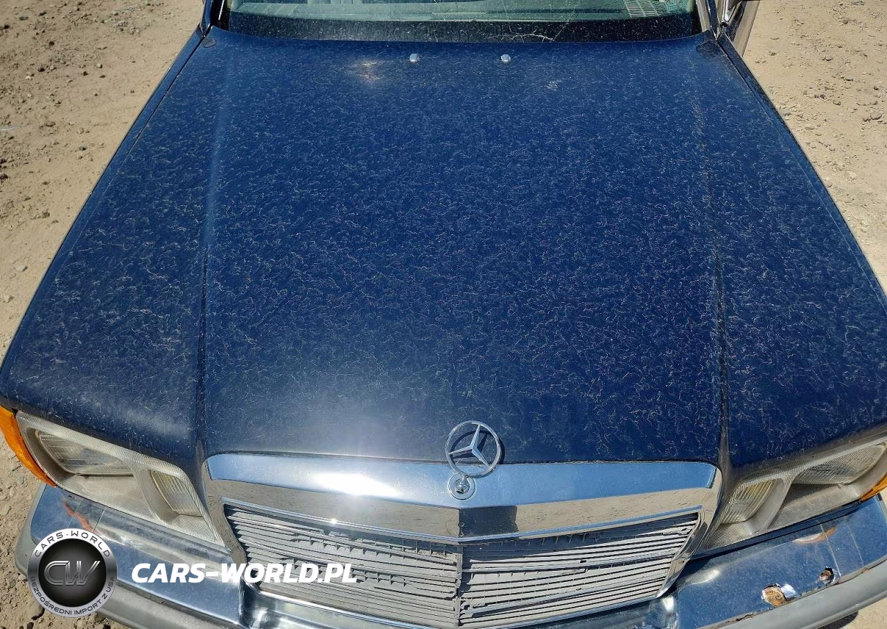 1984 Mercedes-Benz 300 Sd VIN:WDBCB20A7EA049790 - 11