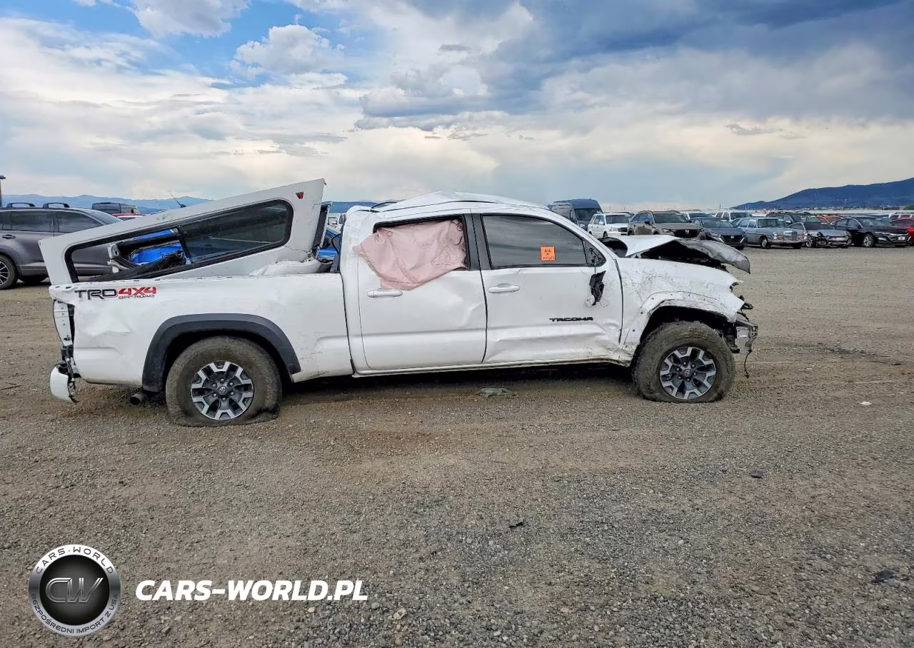 2023 Toyota Tacoma Trd Off-Road VIN:3TYDZ5BNXPT022080 - 10
