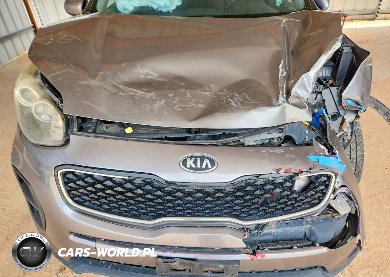 2019 Kia Sportage Lx VIN:KNDPM3AC5K7561530 - 12