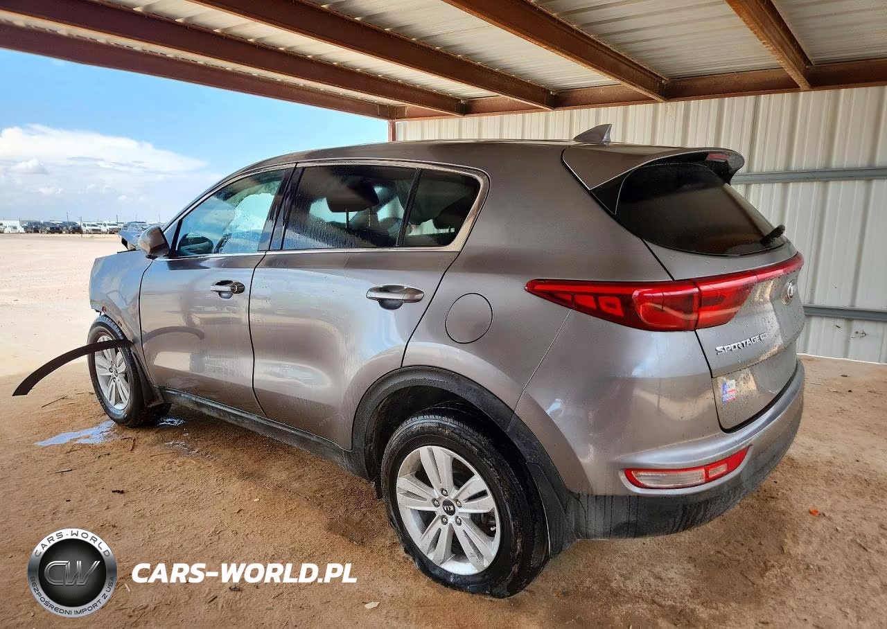 2019 Kia Sportage Lx VIN:KNDPM3AC5K7561530 - 2