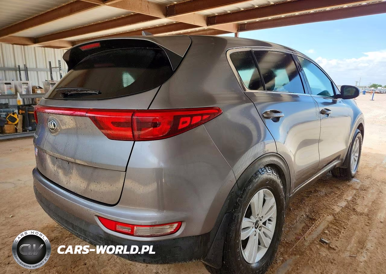 2019 Kia Sportage Lx VIN:KNDPM3AC5K7561530 - 3