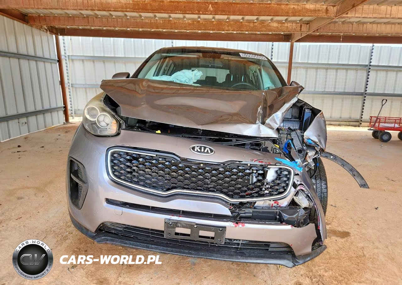 2019 Kia Sportage Lx VIN:KNDPM3AC5K7561530 - 5