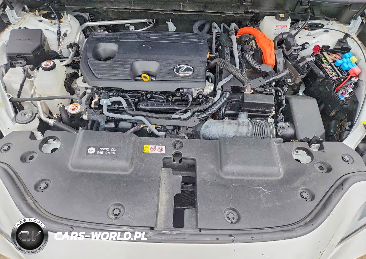 2024 Lexus Nx 350H Premium VIN:JTJGKCEZ7R2020648 - 12