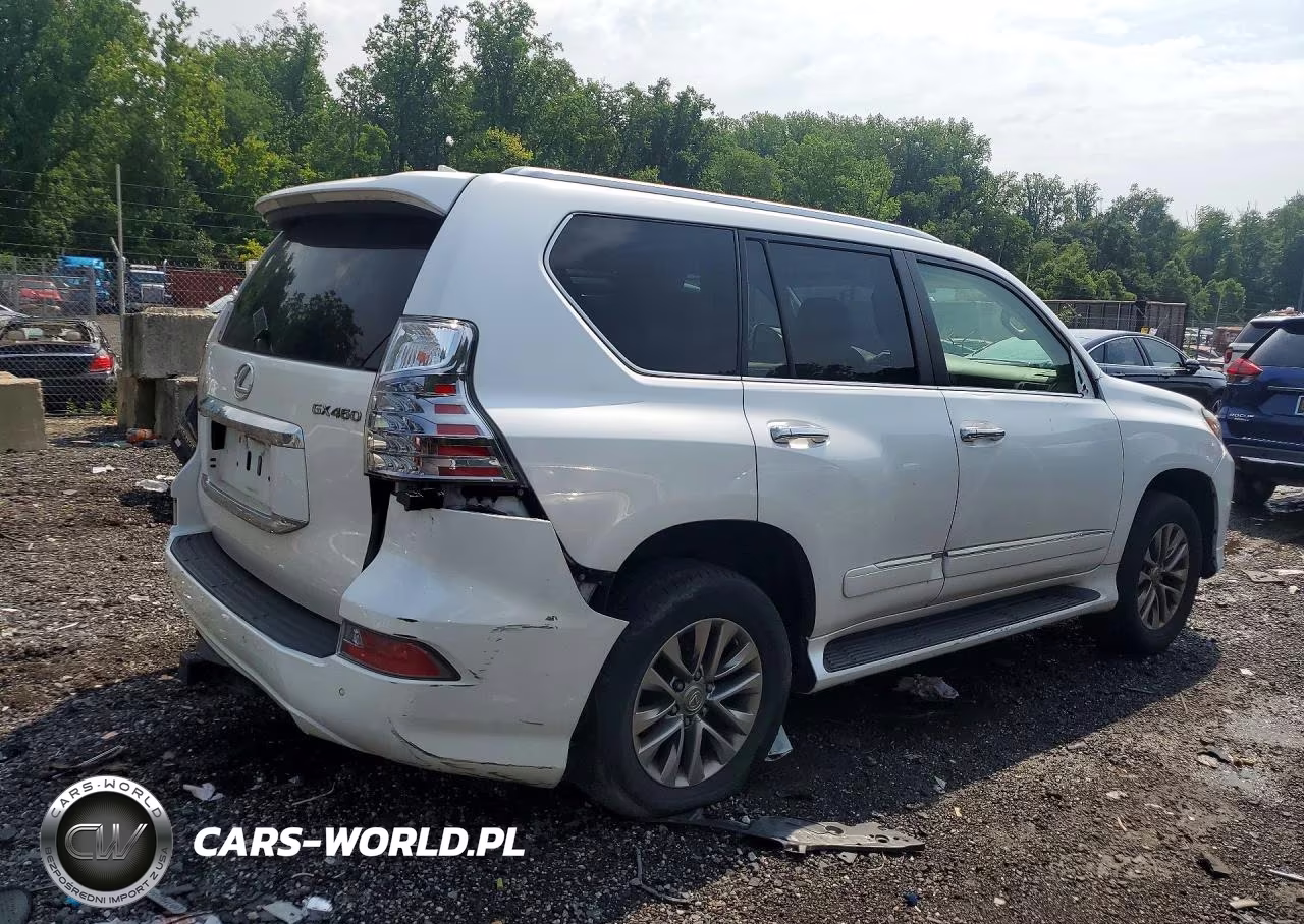 2017 Lexus Gx 460 Premium VIN:JTJJM7FXXH5154782 - 3