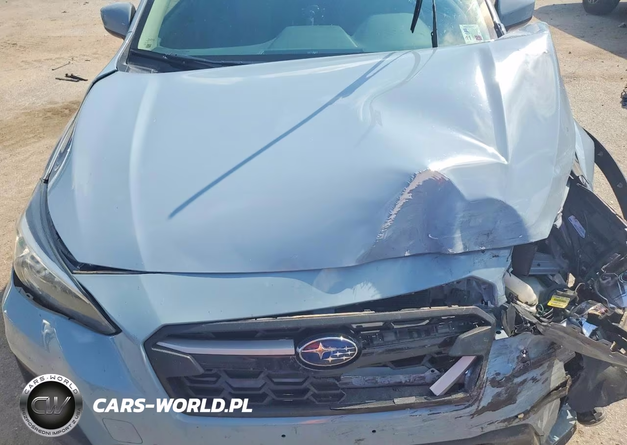 2019 Subaru Crosstrek Premium VIN:JF2GTAEC4K8329515 - 11