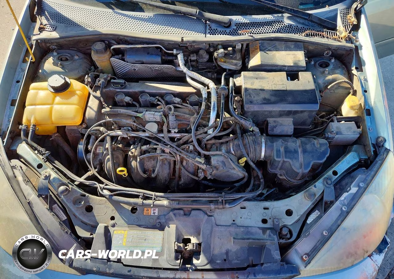 2003 Ford Focus Zts VIN:1FAHP38Z13W292462 - 11