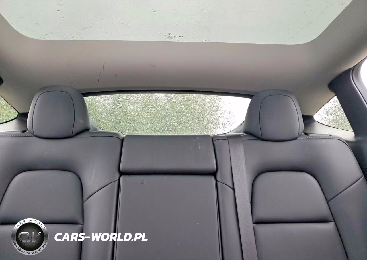 2024 Tesla Model Y VIN:7SAYGDEE8RF200782 - 10
