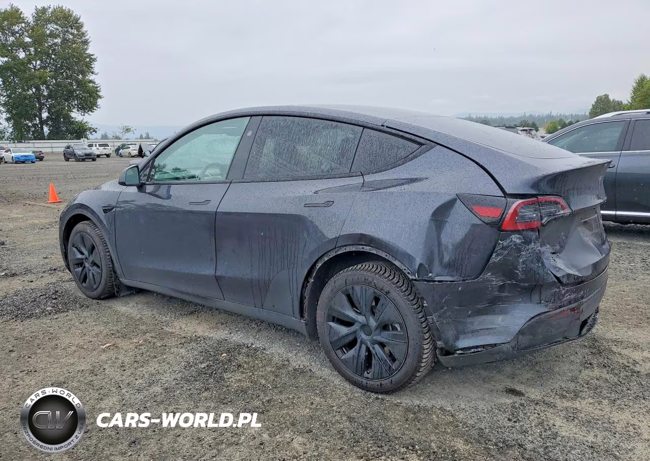 2024 Tesla Model Y VIN:7SAYGDEE8RF200782 - 2