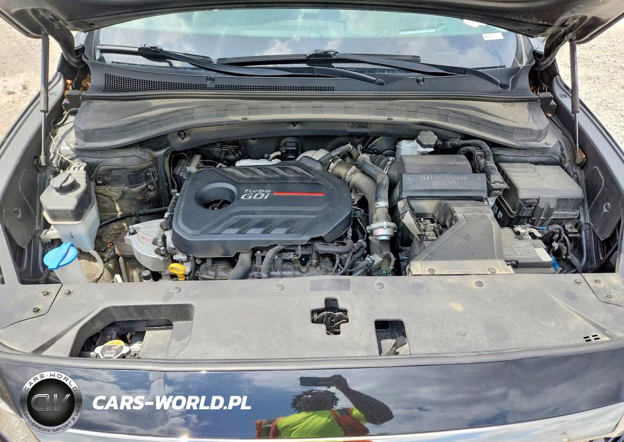 2020 Hyundai Santa Fe Limited 2.0T VIN:5NMS53AA9LH248917 - 12