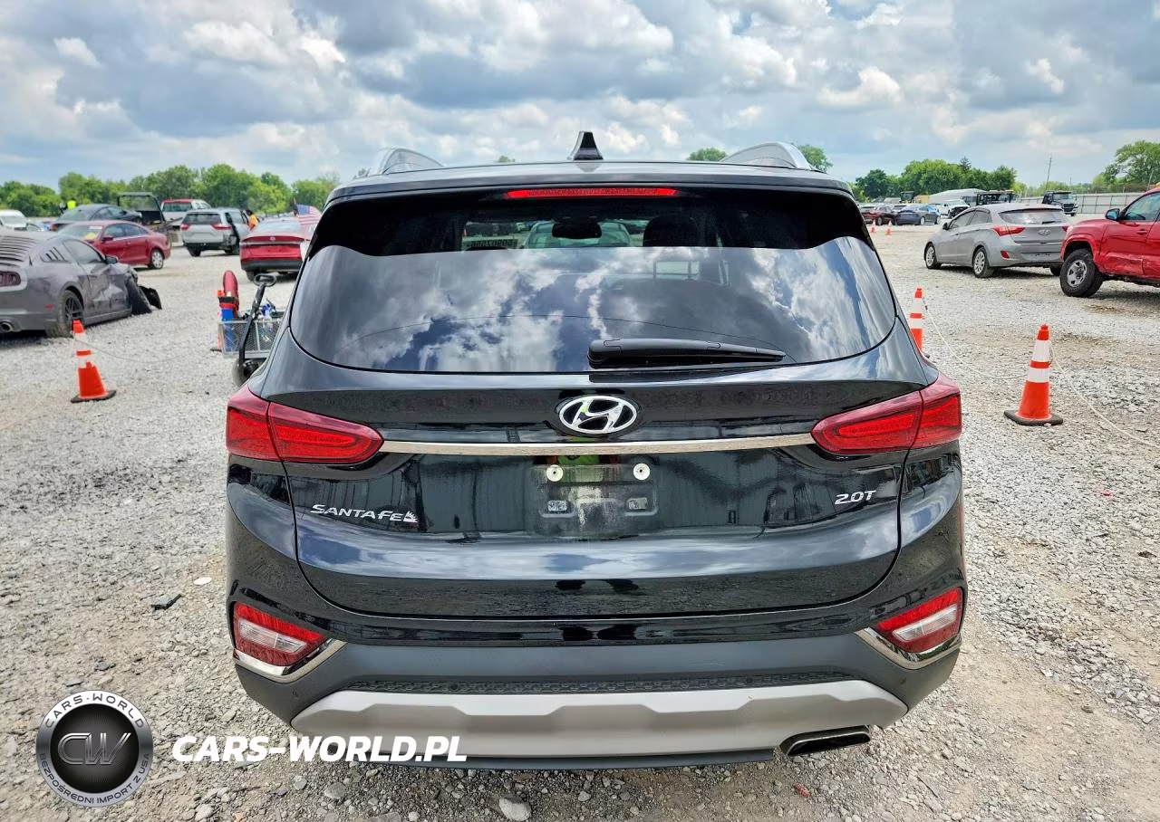 2020 Hyundai Santa Fe Limited 2.0T VIN:5NMS53AA9LH248917 - 6