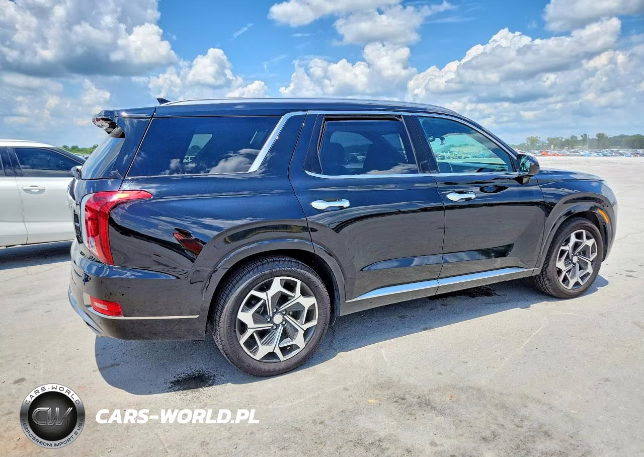 2022 Hyundai Palisade Calligraphy VIN:KM8R7DHE6NU415166 - 3