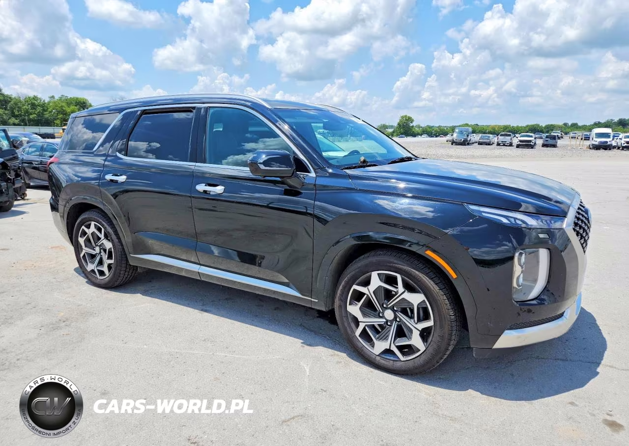 2022 Hyundai Palisade Calligraphy VIN:KM8R7DHE6NU415166 - 4