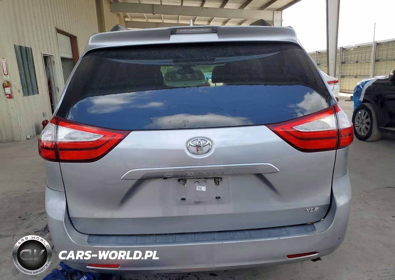2018 Toyota Sienna Xle 8-Passenger VIN:5TDYZ3DC2JS905000 - 6