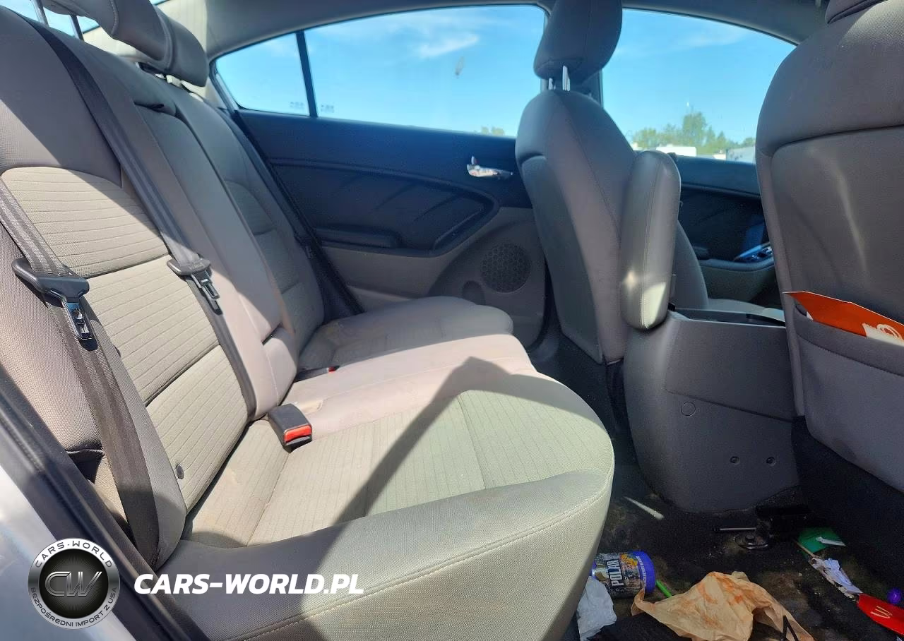 2015 Kia Forte Lx VIN:KNAFX4A64F5280238 - 10