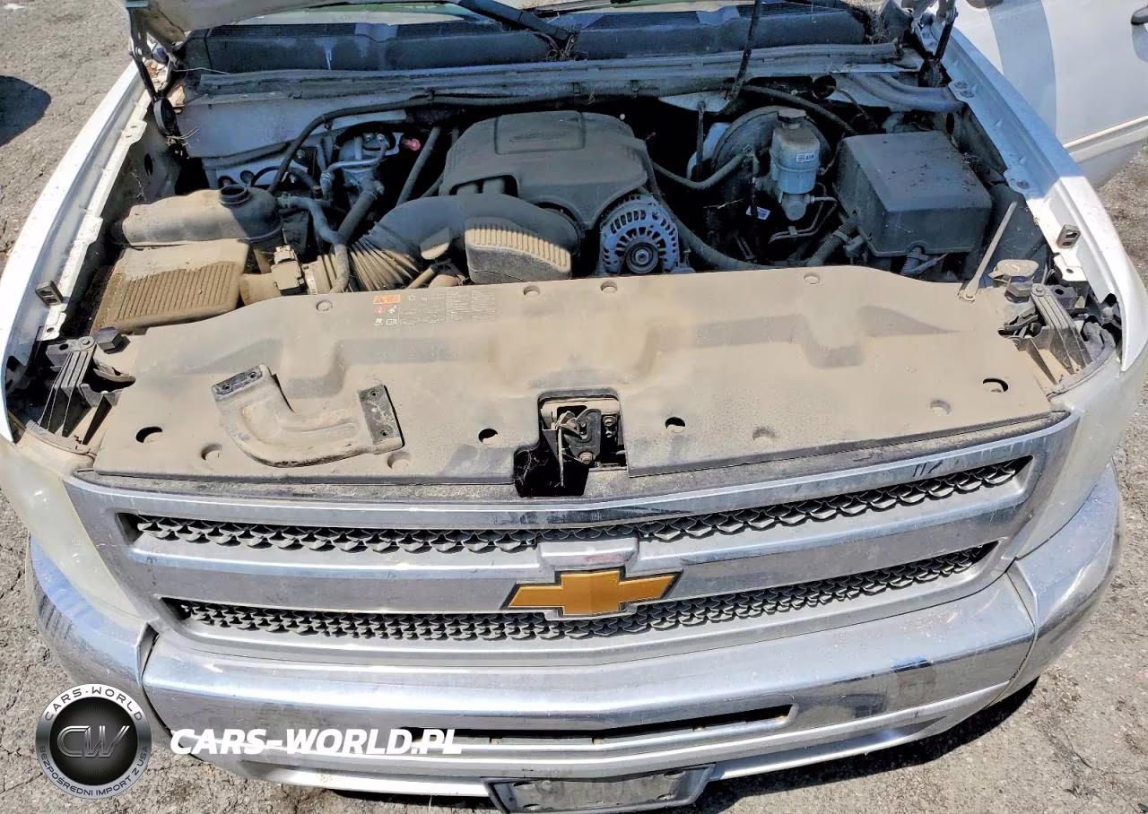 2013 Chevrolet Silverado C1500 Lt VIN:1GCRCSEA5DZ245860 - 11