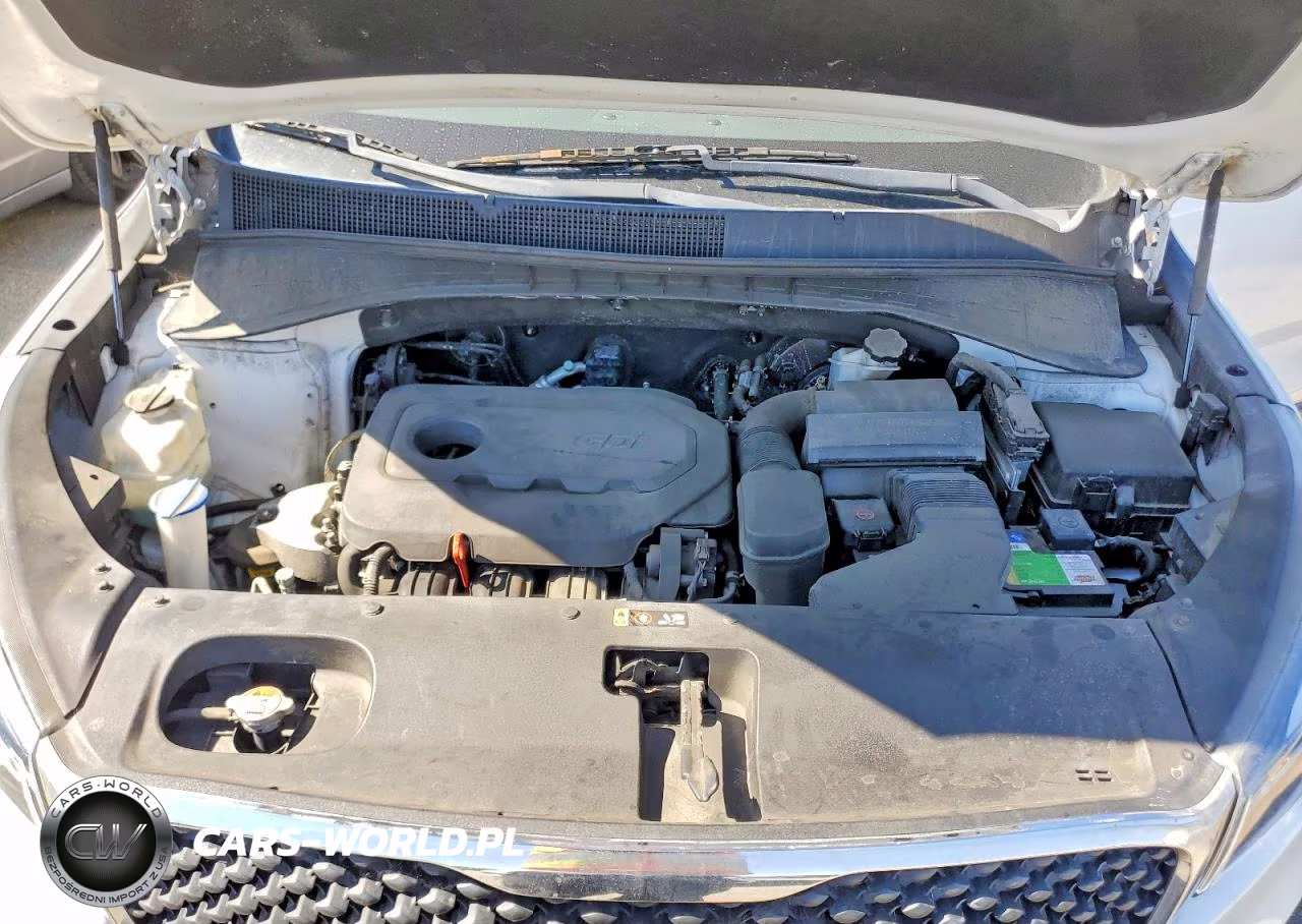 2017 Kia Sorento Lx VIN:5XYPG4A33HG214352 - 12