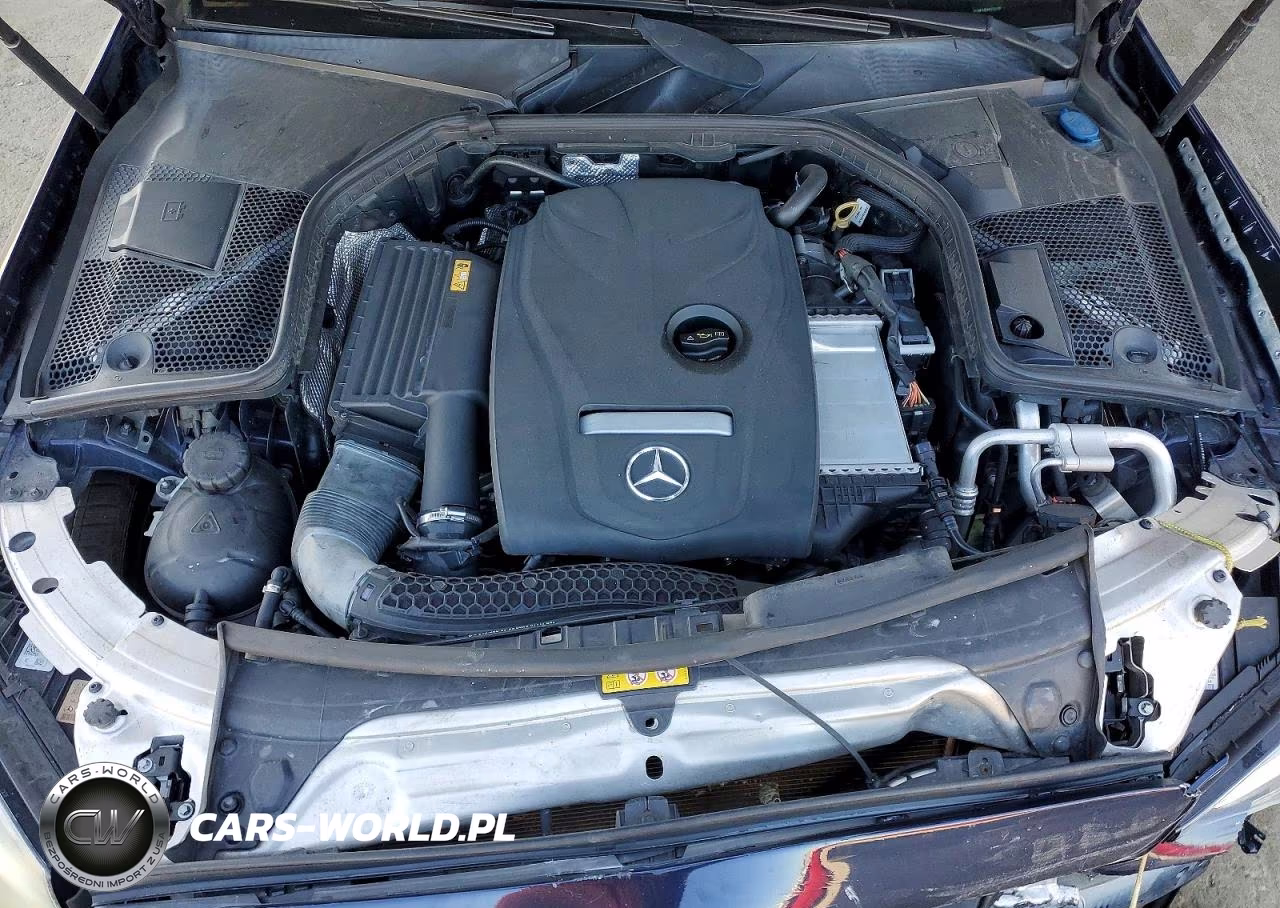 2017 Mercedes-Benz C 300 VIN:55SWF4JB3HU226139 - 11