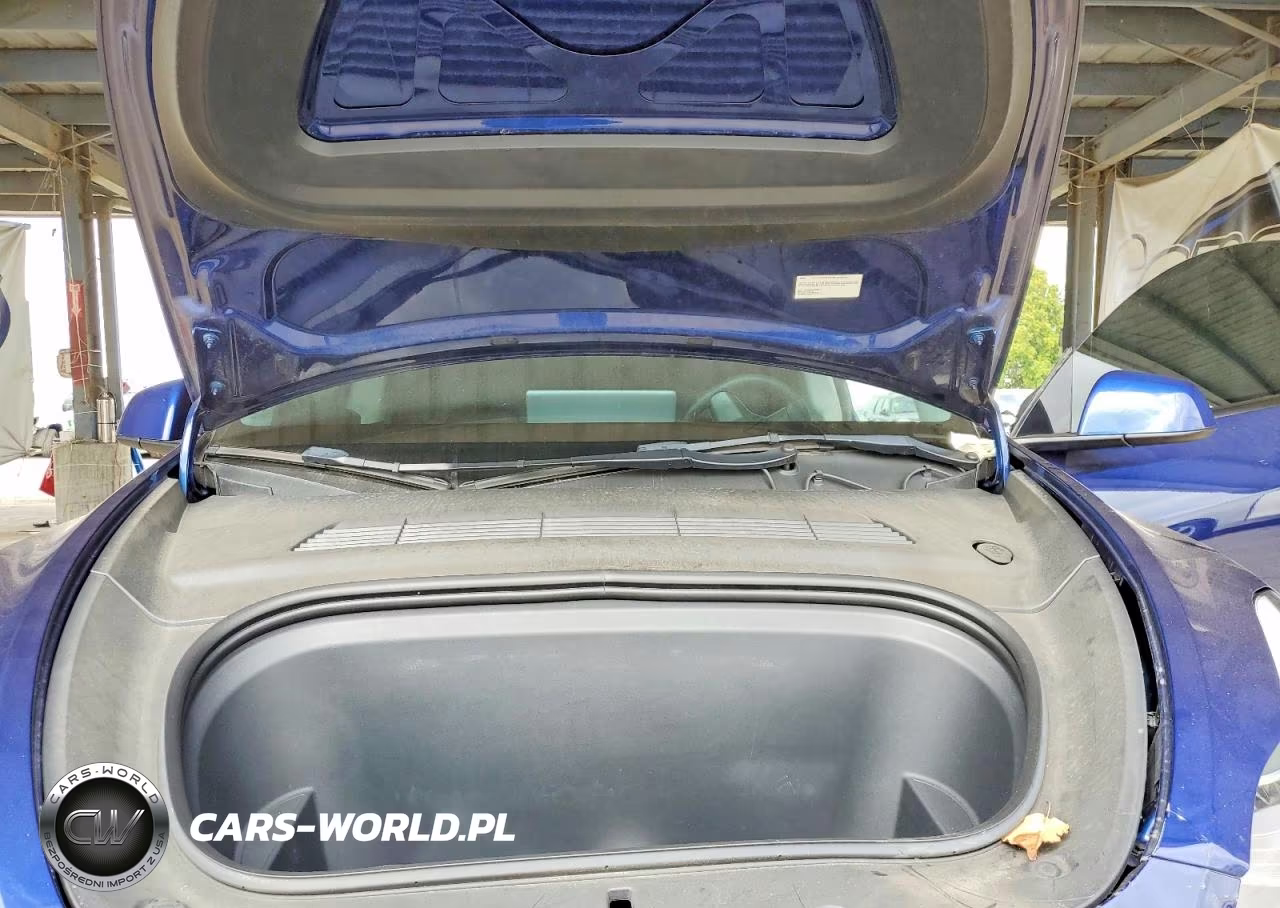 2023 Tesla Model Y VIN:7SAYGDEF6PF622927 - 11