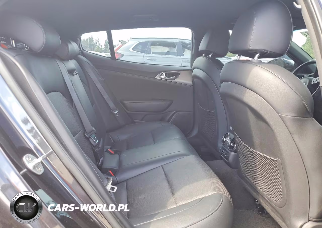 2019 Kia Stinger Gt VIN:KNAE35LC6K6046462 - 10