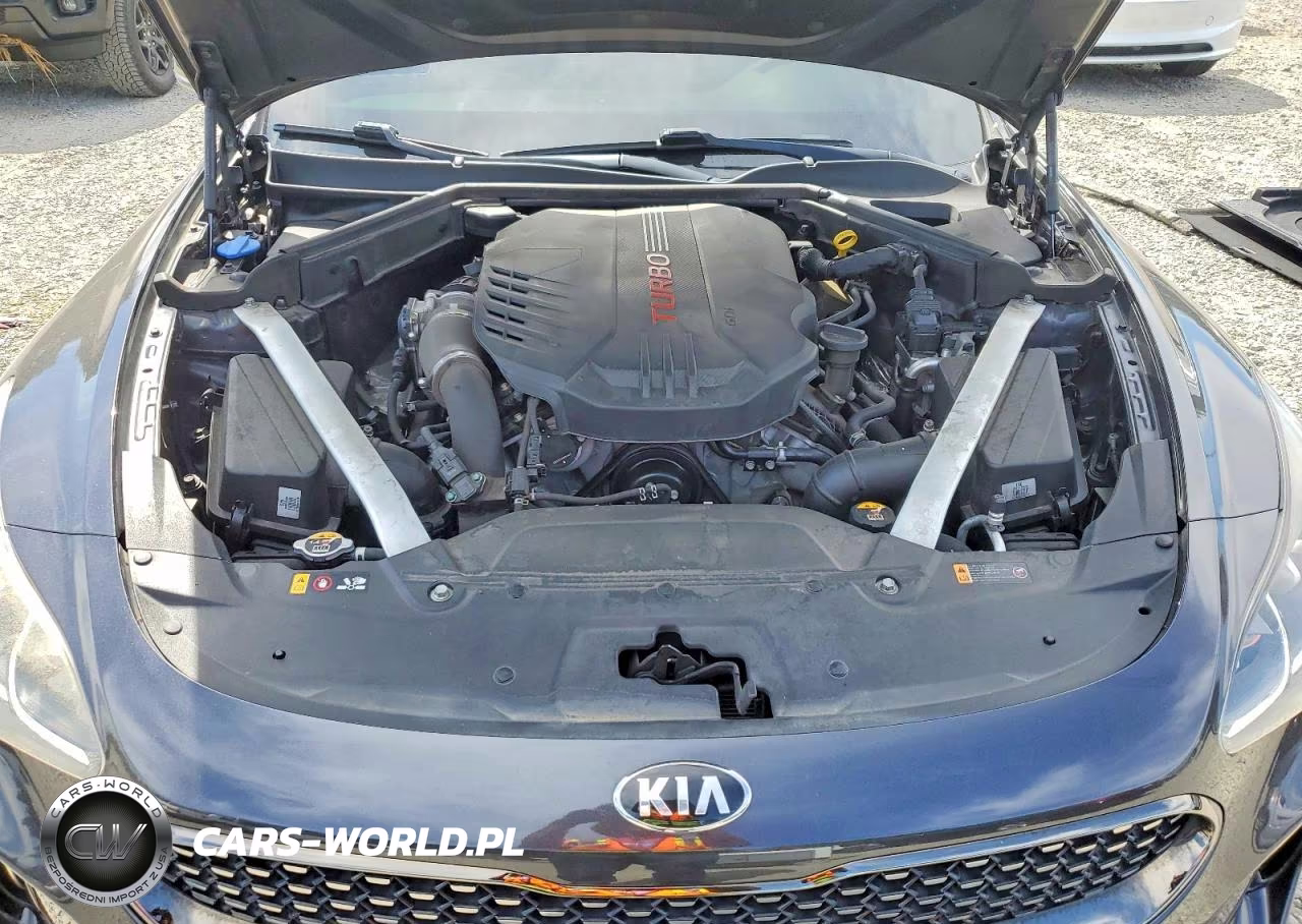 2019 Kia Stinger Gt VIN:KNAE35LC6K6046462 - 11