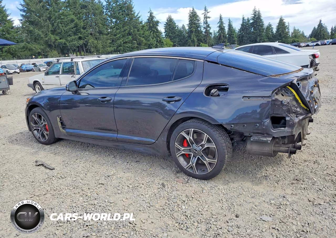 2019 Kia Stinger Gt VIN:KNAE35LC6K6046462 - 2