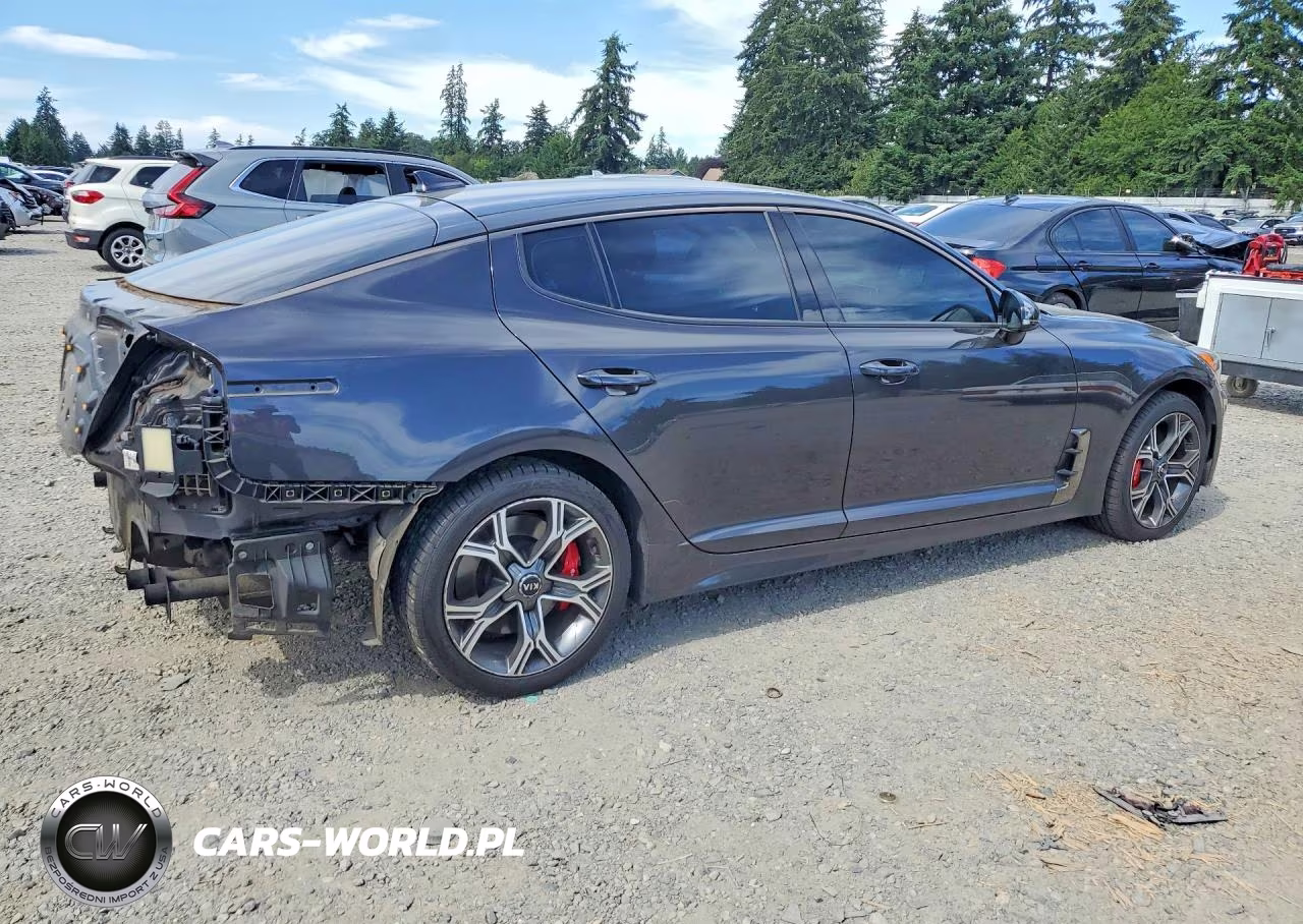 2019 Kia Stinger Gt VIN:KNAE35LC6K6046462 - 3
