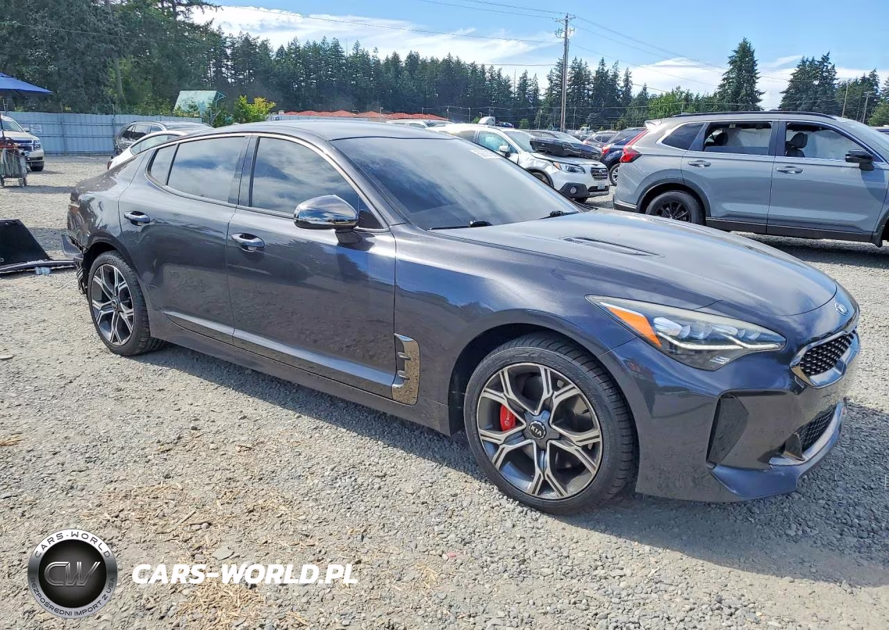 2019 Kia Stinger Gt VIN:KNAE35LC6K6046462 - 4