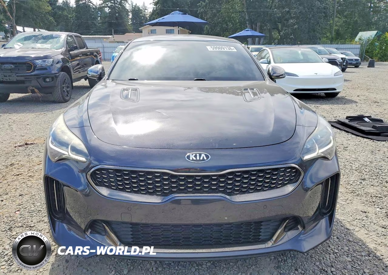 2019 Kia Stinger Gt VIN:KNAE35LC6K6046462 - 5