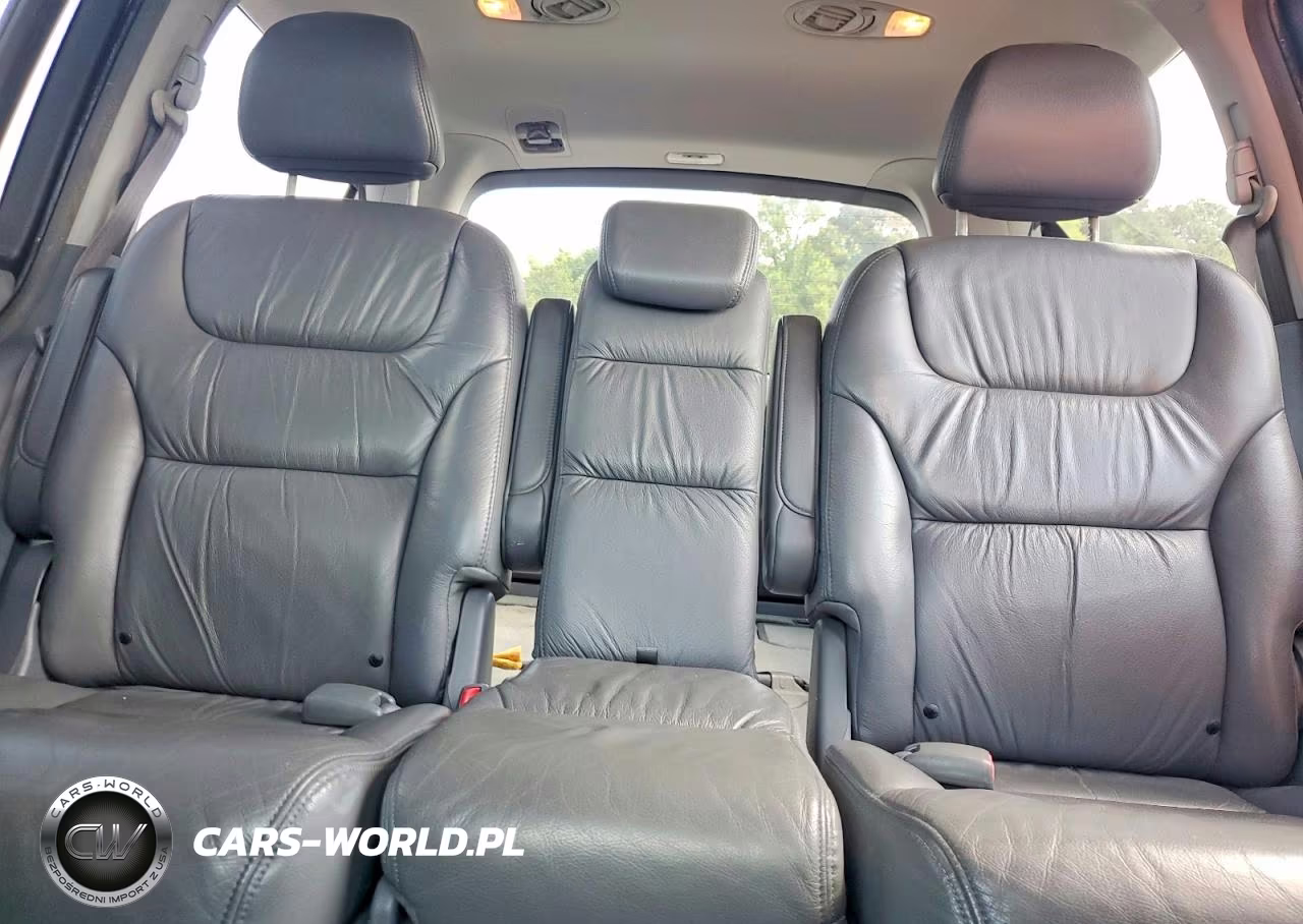2006 Honda Odyssey Exl VIN:5FNRL38776B080313 - 10
