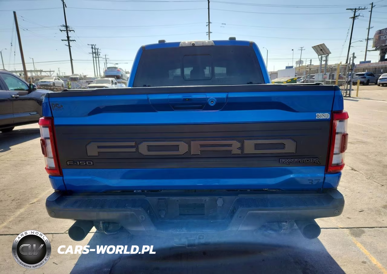 2021 Ford F150 Raptor VIN:1FTFW1RG6MFC42003 - 6