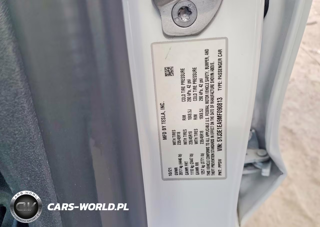 2021 Tesla Model 3 VIN:5YJ3E1EA9MF090813 - 13