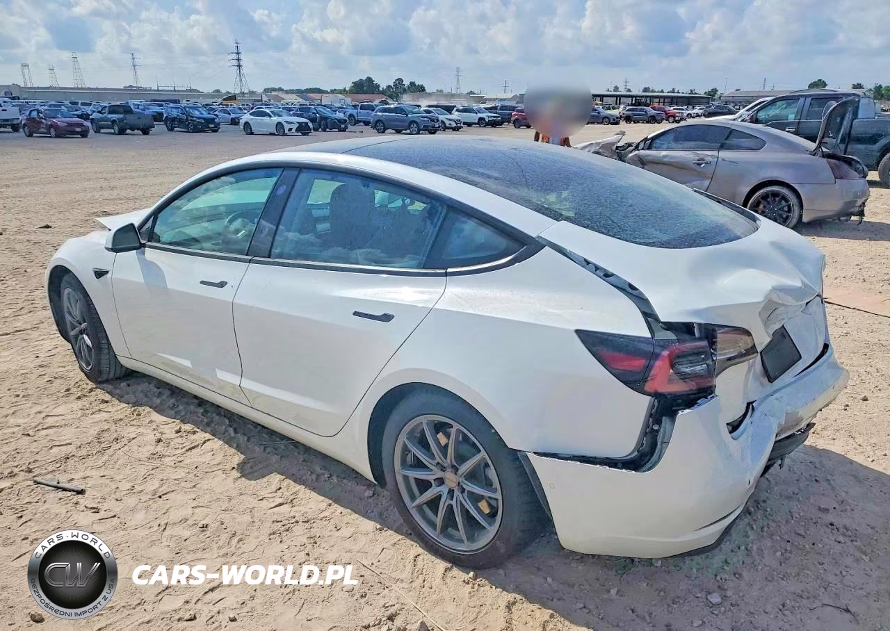 2021 Tesla Model 3 VIN:5YJ3E1EA9MF090813 - 2