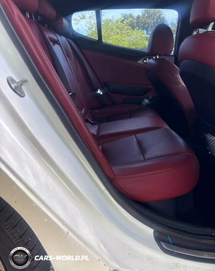 2019 Kia Stinger Gt VIN:KNAE35LC2K6052811 - 12