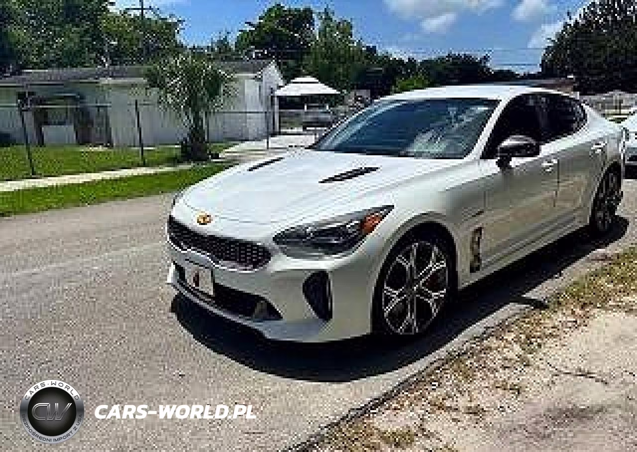 2019 Kia Stinger Gt VIN:KNAE35LC2K6052811 - 2
