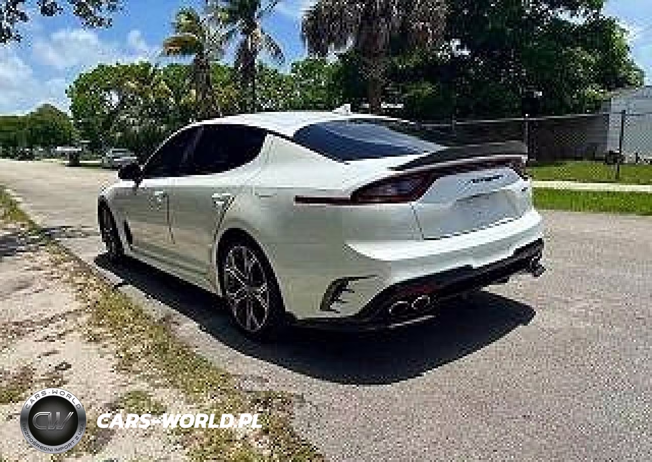 2019 Kia Stinger Gt VIN:KNAE35LC2K6052811 - 3