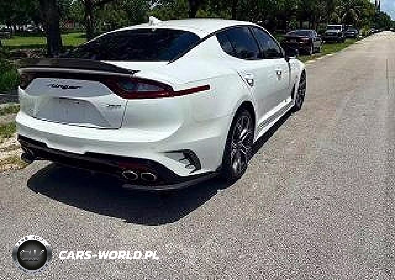 2019 Kia Stinger Gt VIN:KNAE35LC2K6052811 - 4