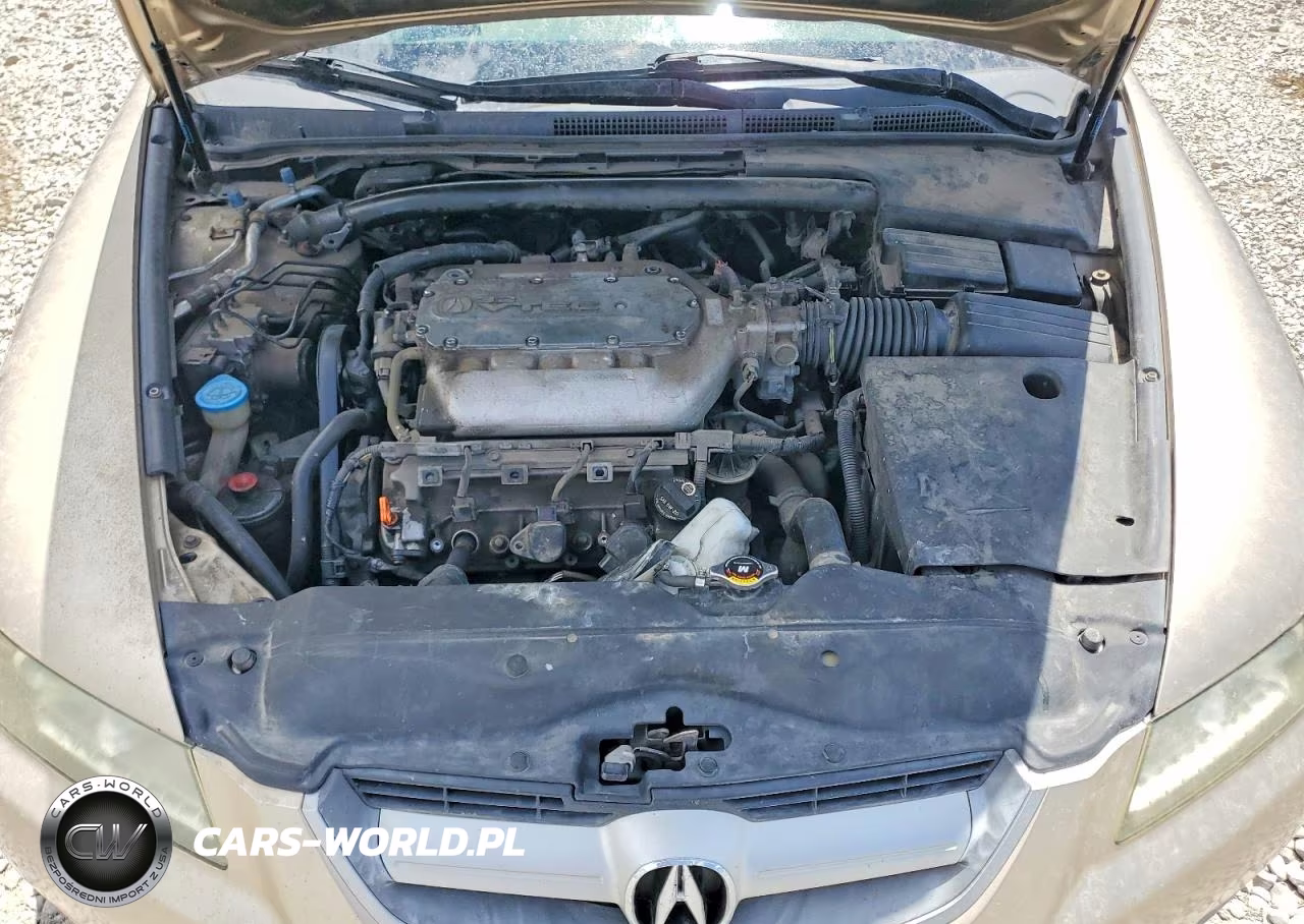 2006 Acura 3.2Tl VIN:19UUA66206A078003 - 11