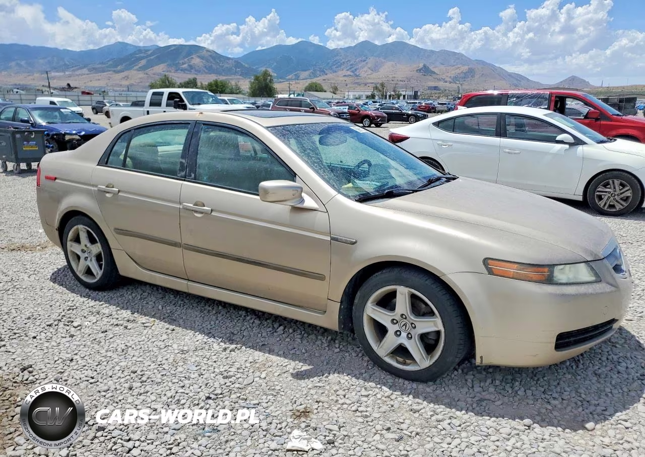 2006 Acura 3.2Tl VIN:19UUA66206A078003 - 4